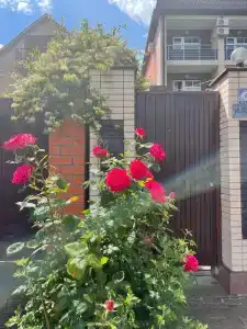 Крылов Хаус - 0