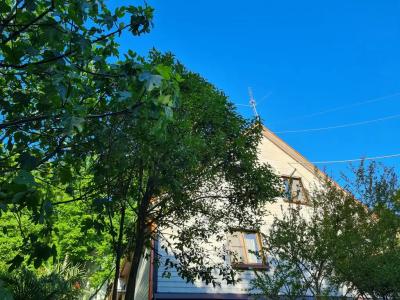 Оранжевое Солнце - 138