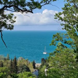 Оранжевое Солнце - 160