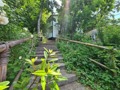 Оранжевое Солнце - 204