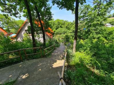 Оранжевое Солнце - 209