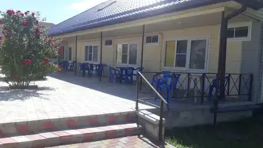 Актиния - 0