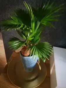 Квартиры на Старопрегольской набережной 16 - 405