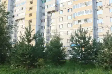 Квартиры на Фрунзе 31 - 49