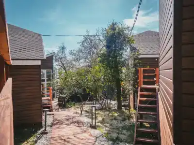 Сочинский берег - 13