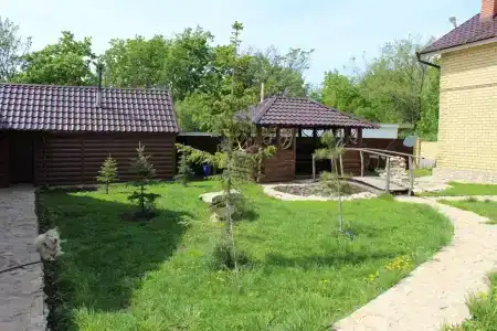 Forest house - 2