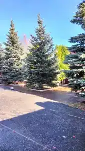 У Федота - 19