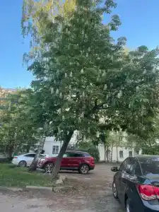 Квартиры на Волжской набережной 61 - 122