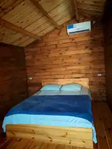 Клевер - 13