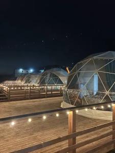 Аквариум - 120