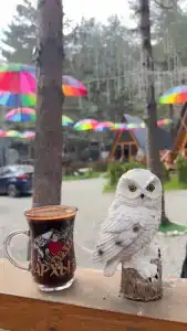 Терраса Домики в Архызе - 99