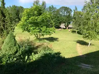 Капаново - 15