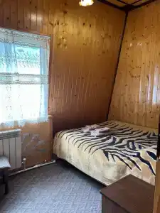 Золотой мустанг - 6