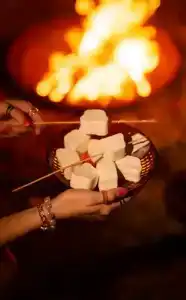 О, Дни в Лесу - 12