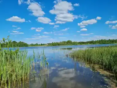 Дом у Озера Мстижа - 21