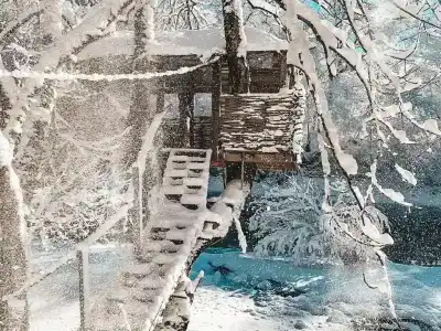 Волков Хаус - 66