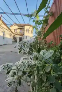 В гостях у сказки - 94