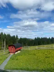 Скандик дом в Хохловке - 21