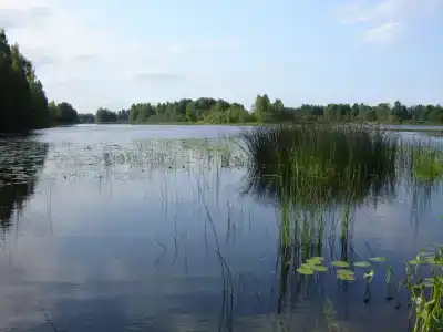 Уютный коттедж у реки - 17