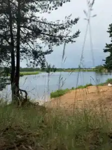 Гостевой дом с баней и прудом - 39