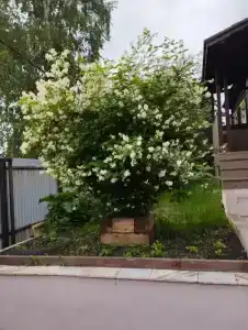 Частный дом на Алябьева - 8