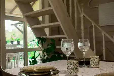 Боровики - 45