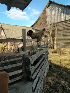 Дом с сауной и мангалом - 12
