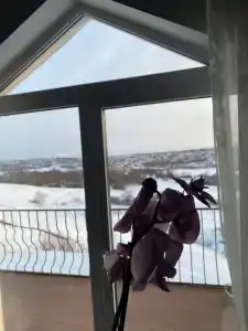 Арт Хаус Парле - 15