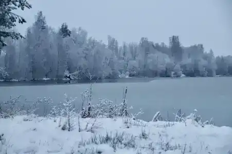 Хэйлун - 54