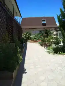 Клеопатра - 0