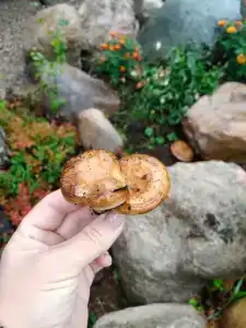 Медвежий угол - 18