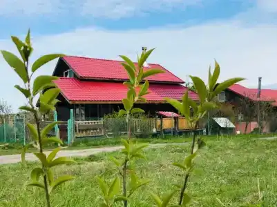 Хутор белой козы - 31