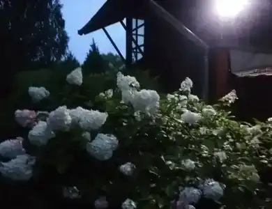 Уютный дом у Можайского моря - 27