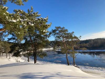 Уютный лесной домик со всеми удобствами в Полянках - 24