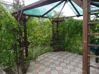 Светлана - 21