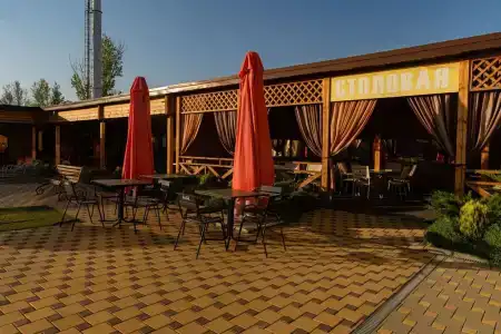 Горгиппия - 12