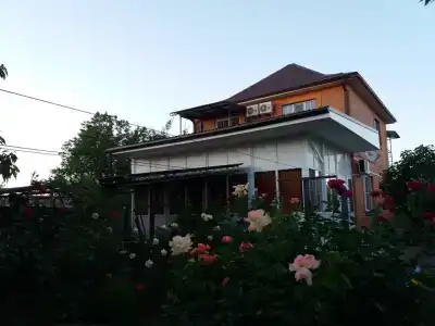 Роза - 0
