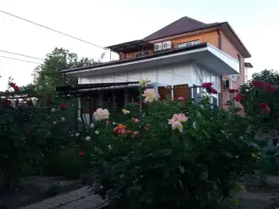 Роза - 1