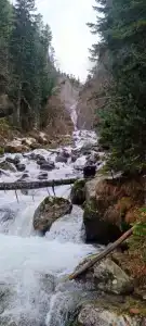 Архыз Сити - 59