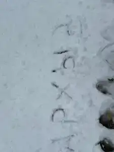 Архыз Сити - 52