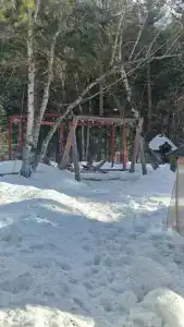 Архыз Сити - 181