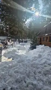 Архыз Сити - 182