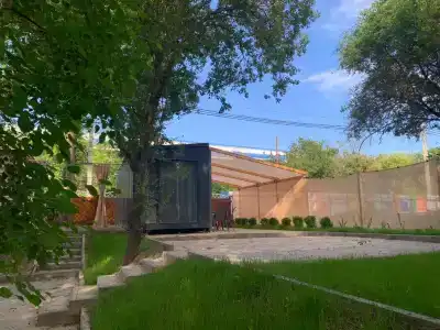 Серебристый Тополь - 2