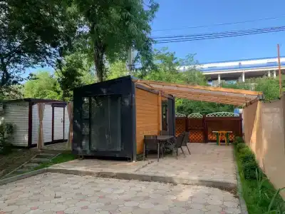 Серебристый Тополь - 1