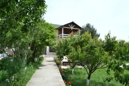 В Тарках - 3