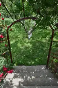 В Тарках - 8