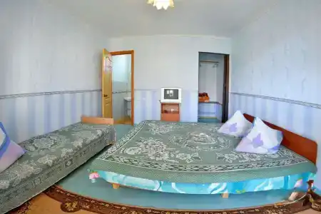 Венера - 12