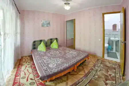 Венера - 65
