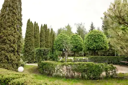 ЯР&SPA - 50
