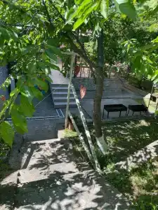Прованс - 5